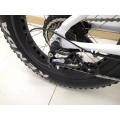 20 "Foldable/Folding Fat Tire Ebike for Electric Bike 48 V 500 W